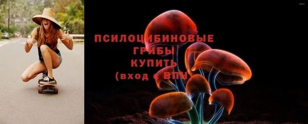 скорость mdpv Богородицк