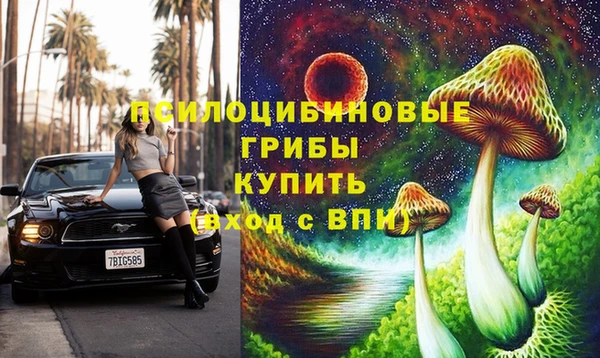 кокаин колумбия Богданович