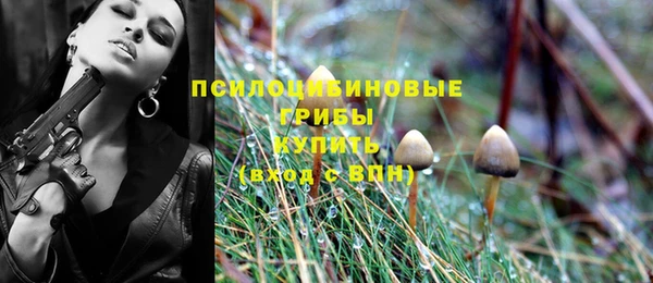 прущая мука Бородино