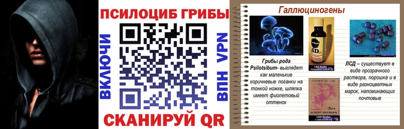 купить наркотик  Нерехта  Галлюциногенные грибы мицелий 